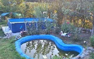 Casă de vânzare Comana - Poză 1