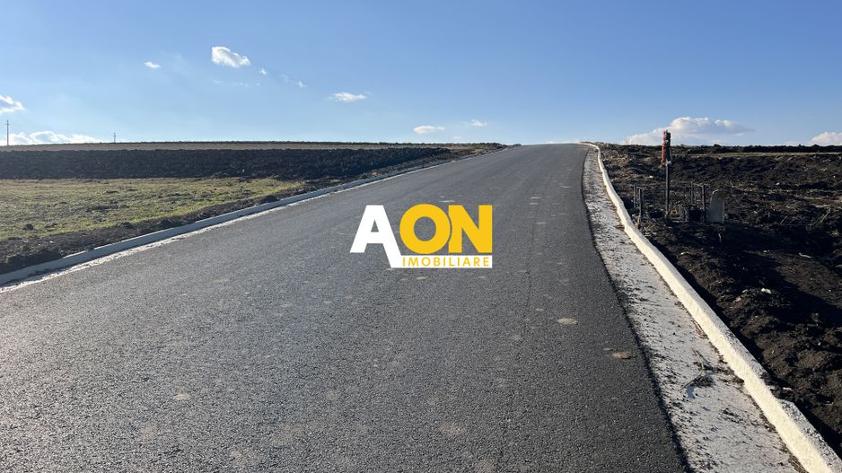 2,314 Mp in Daia Romana, toate utilitatile la asfalt, 80ml deschidere - Poză 5