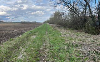 Teren Extravilan | 48 Ari - Poză 2