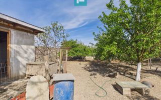 Casă retrasă Pișchia – 4 camere, teren 920 mp - Poză 62