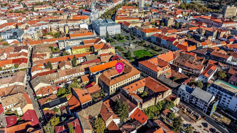 Imobil istoric de mari dimensiuni, în Piața Avram Iancu - Poză 8