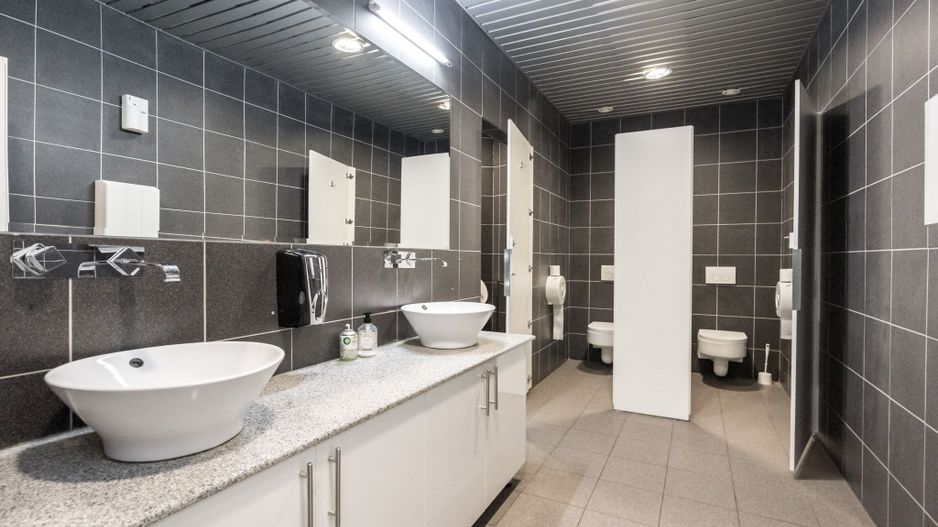 cladire de birouri 8889 mpc in Piata Alba Iulia inchiriata - Poză 12