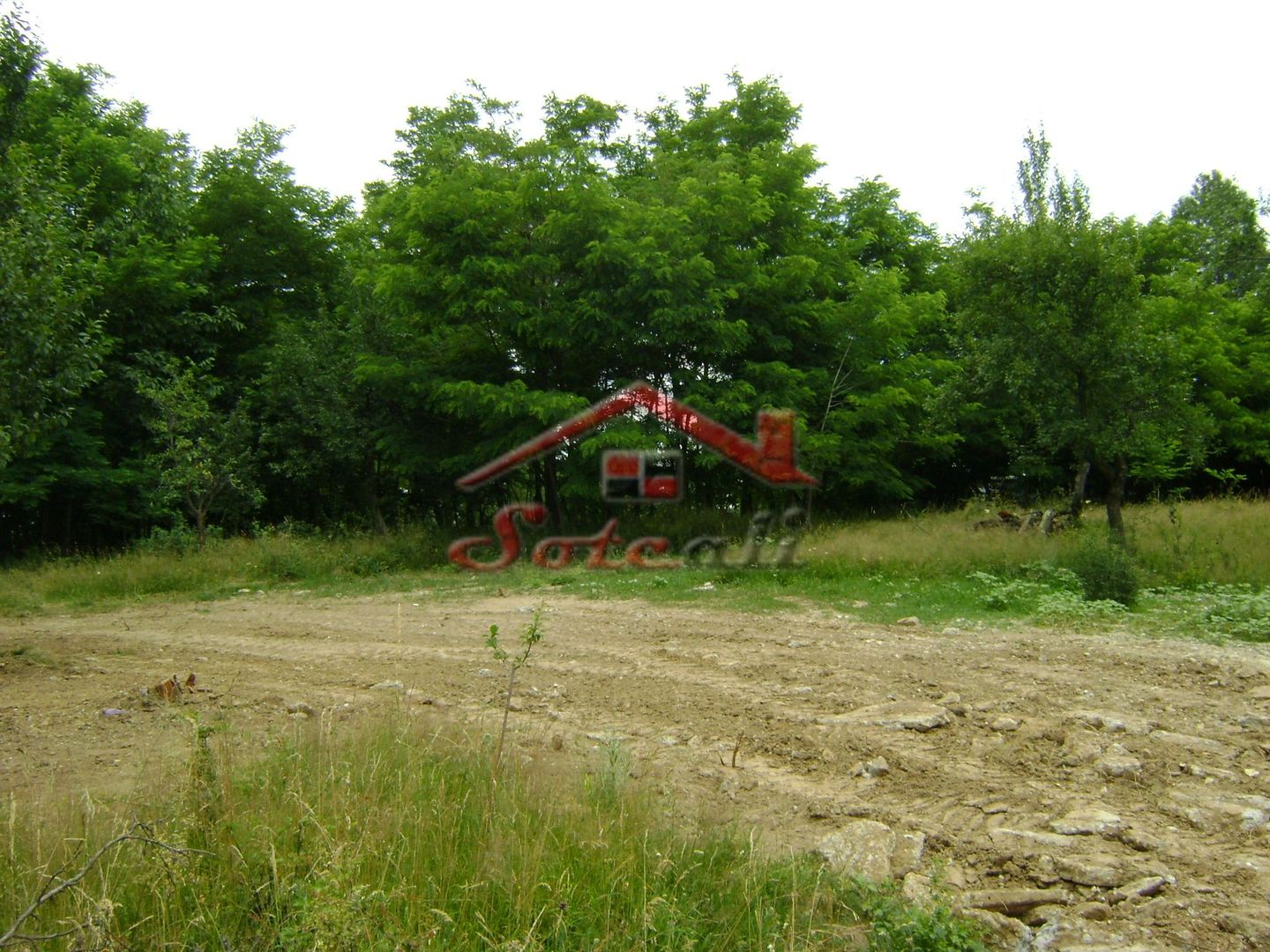 Teren de vanzare Cornu 3074 mp - Poză 6