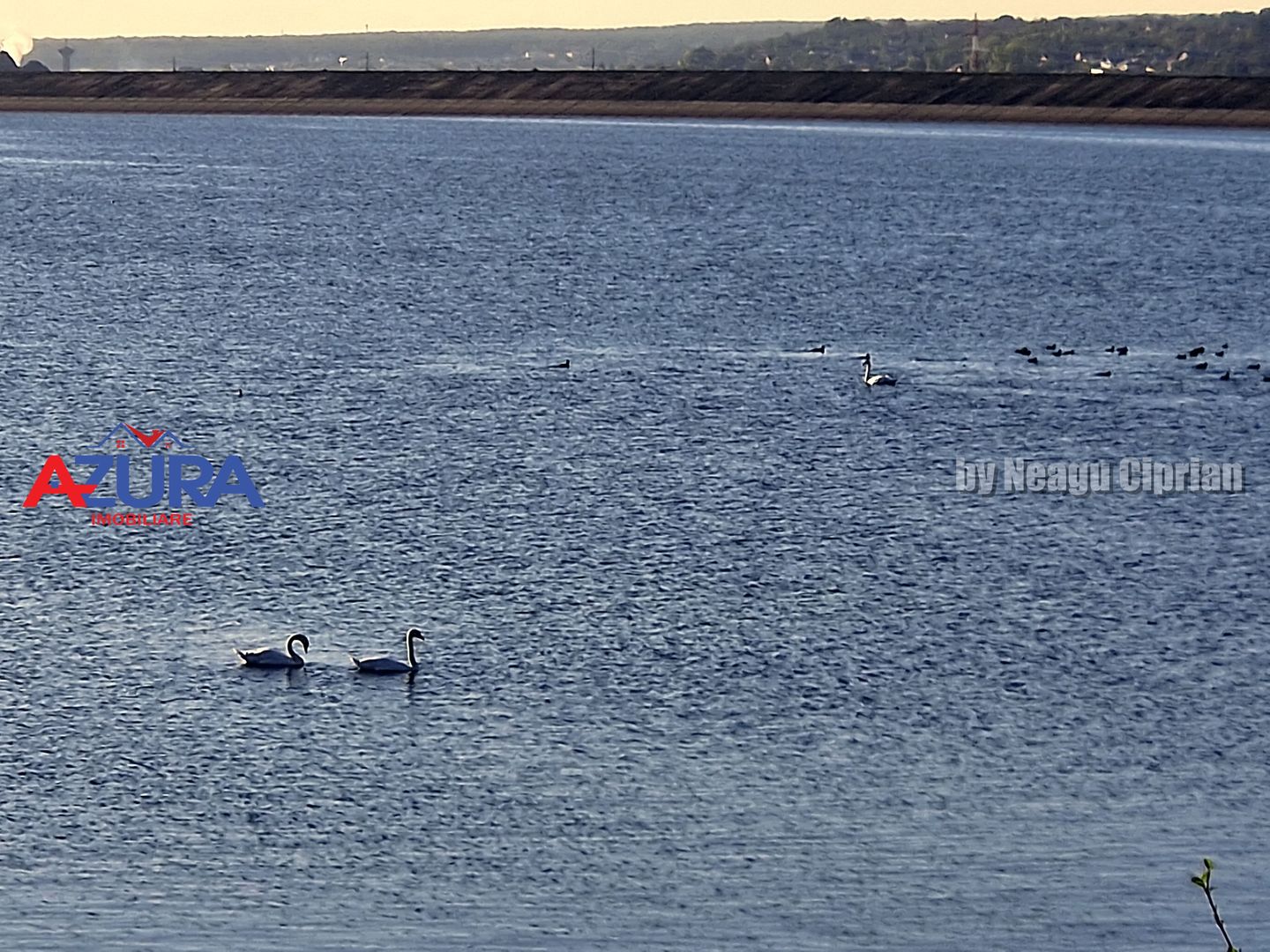 AZURA Imobiliare - Teren Budeasa 250m de Plaja - Poză 19