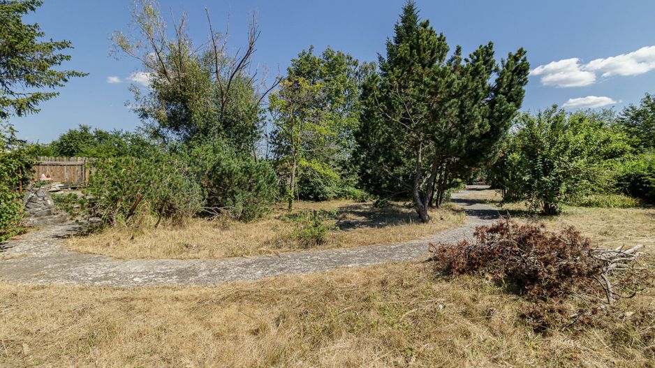 Domeniu privat 5.000 mp, cu reședință de 625 mp și piscină, Corbeanca - Poză 41