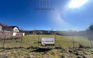 Dumbravita Teren Intravilan 1466mp Front 29m | Langa Padure - Poză 2