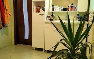 De vanzare vila, teren 500mp, Magurele - Poză 7