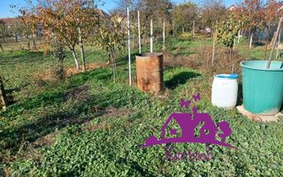 Casa la curte comuna in localitatea Nojorid - Poză 6