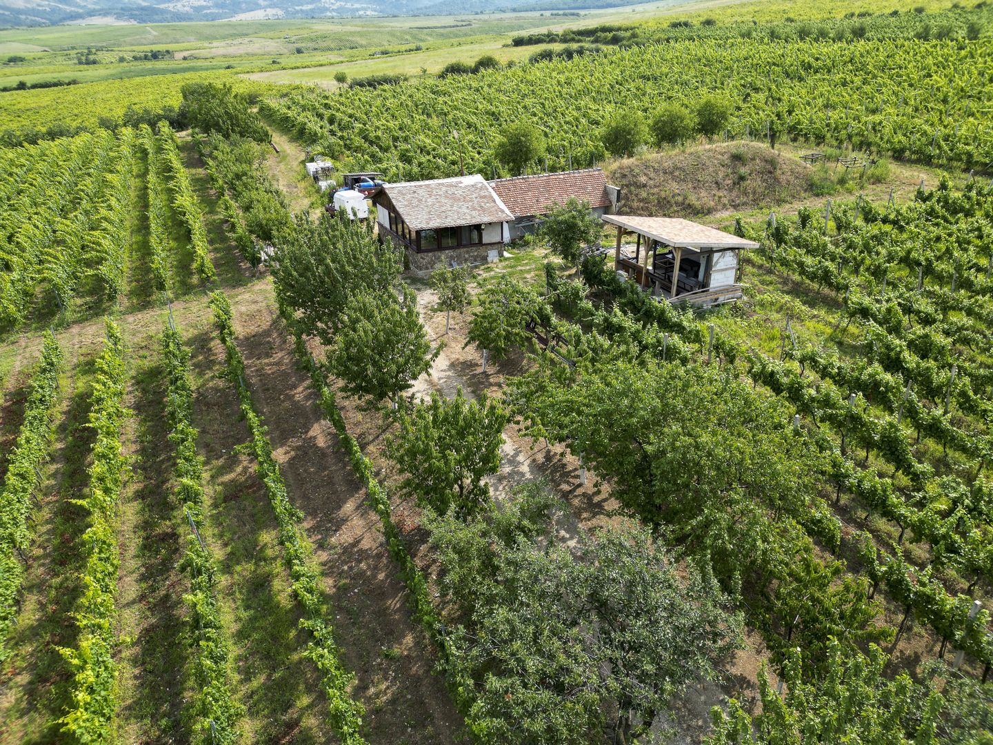 Vie Tradițională „Halta Lupilor” - Poză 46