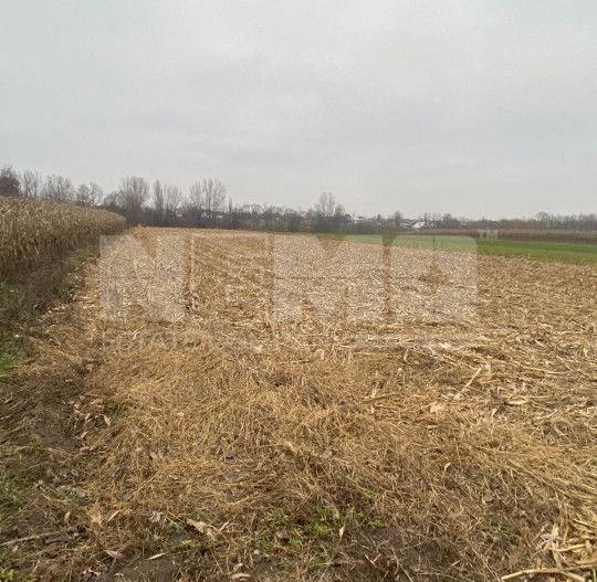 Teren Intravilan | Fratautii Noi | 64 Ari - Poză 2