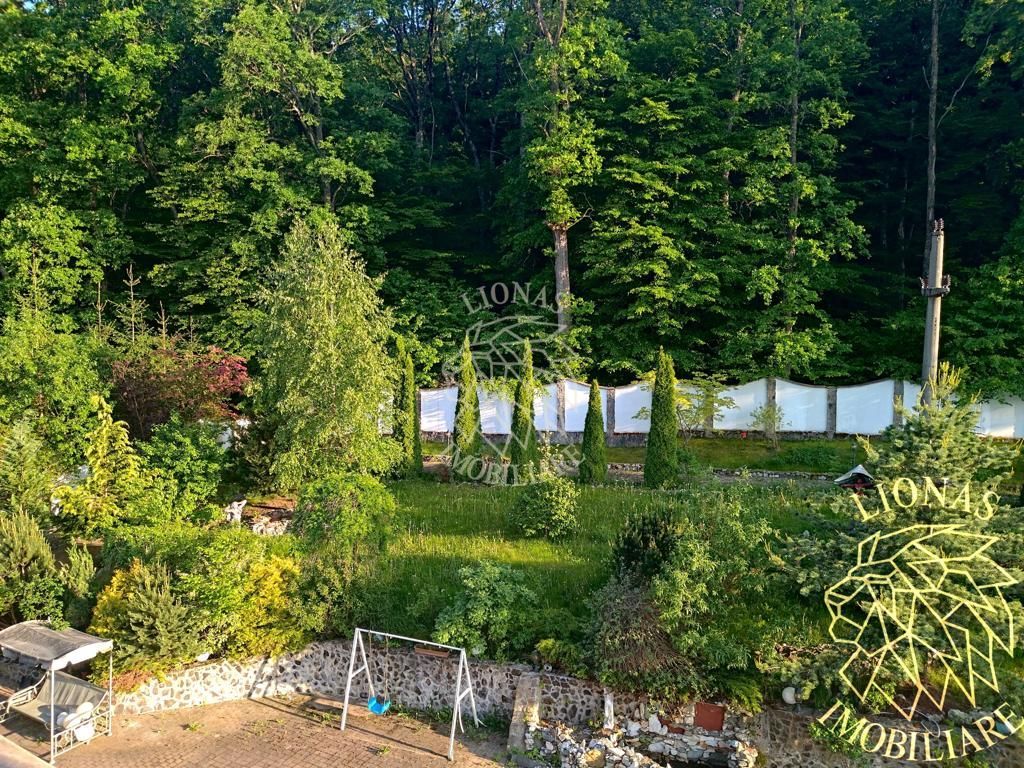 Casa/Conac/Pensiune/Casa de vacanta-1300 mp -Str. Ghinzii -EXCLUSIV - Poză 7