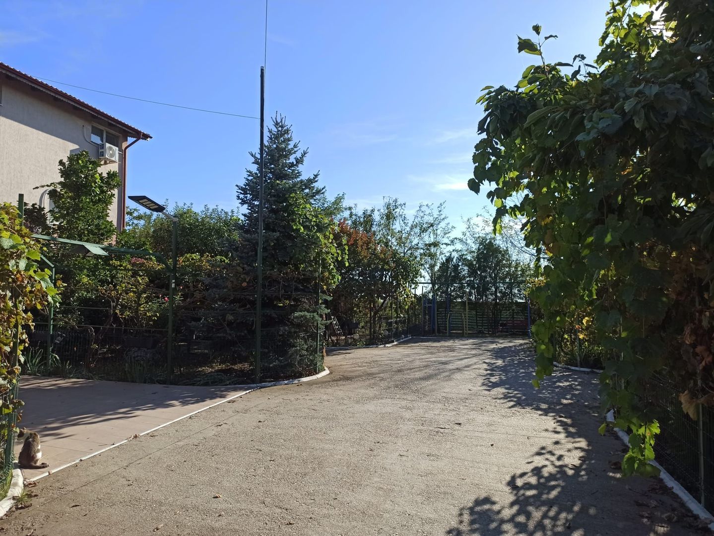 vila triplex,deosebita,mob-util partial/complet/Frumusani-Calarasi - Poză 16