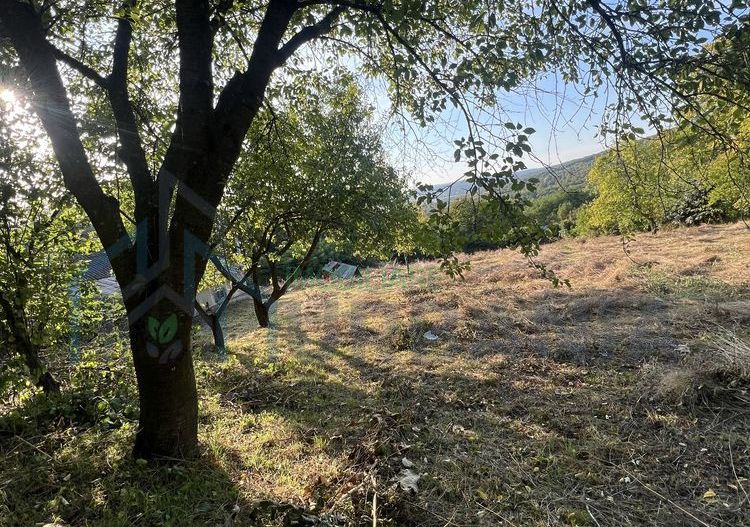 Teren intravilan 3003 mp cu casă bătrânească, fântână și curent electric în Dobrovat, Iași - Poză 7