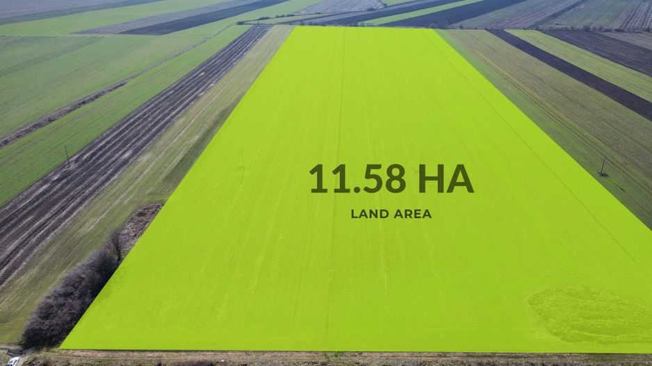 Teren folosinta conditii speciale | Oportunitate investitie | Nadlac - Poză 2