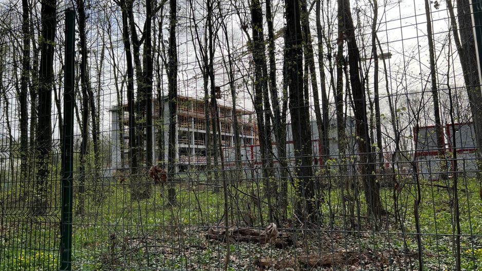 192842 mp teren in Padurea Baneasa proiect exclusivist - Poză 8