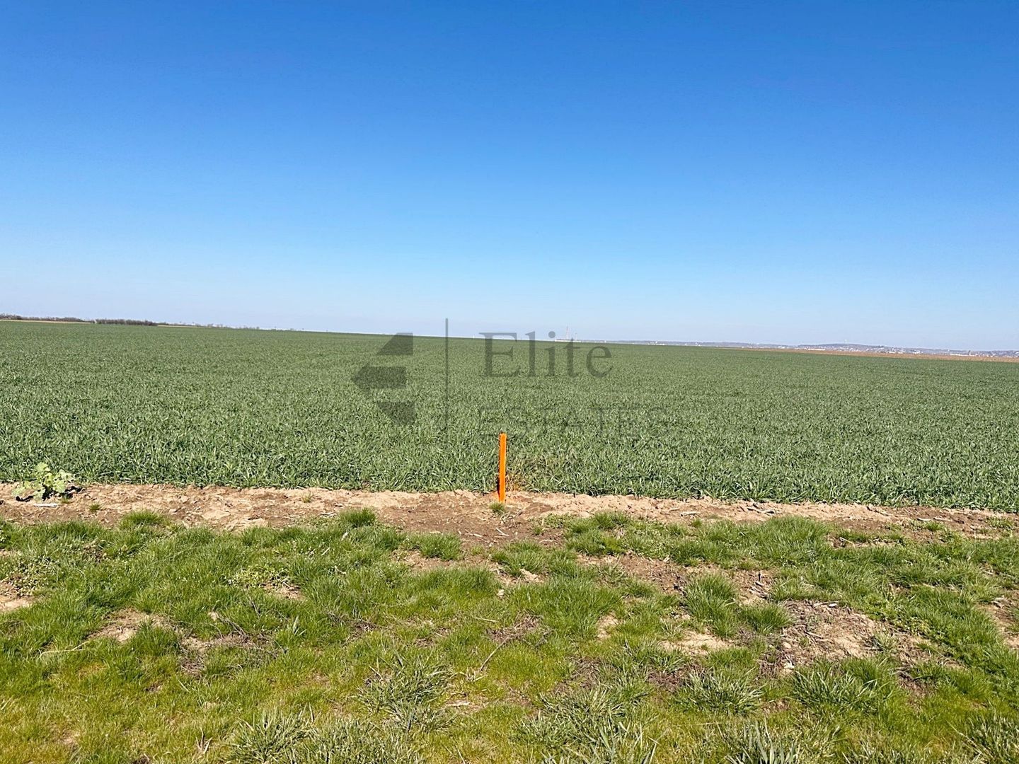 Teren 20.141 mp de vanzare in zona Aeroportului Oradea - Poză 7