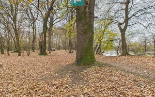 Teren pe malul Muresului- oportunitati multiple - Poză 22