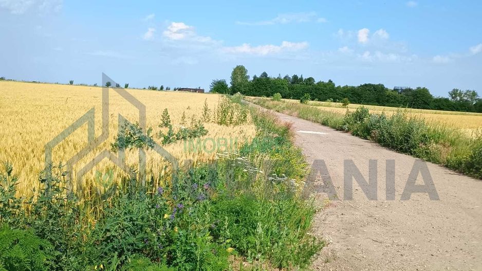 De vanzare teren extravilan valea ursului - Poză 4