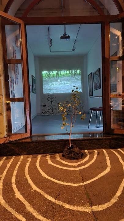 Spațiu Comercial || Birou de Inchiriat  ||  Vitrina Stradala ||  Zona Cișmigiu - Poză 8