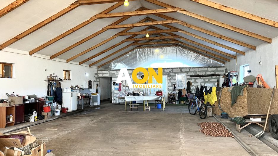 Ferma de vanzare cu 550MP utili si 27.500MP teren la asfalt - Poză 24