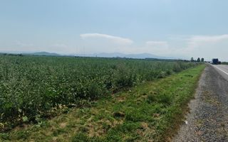 Teren intravilan 3,85 ha,Brasov DN 13 langa MILLE, OLYMPUS, ARKADA - Poză 2
