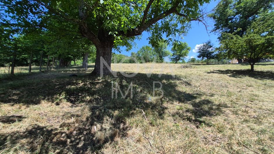 Casa individuala cu teren generos – 8.356 mp – Tichindeal, jud. Sibiu - Poză 48