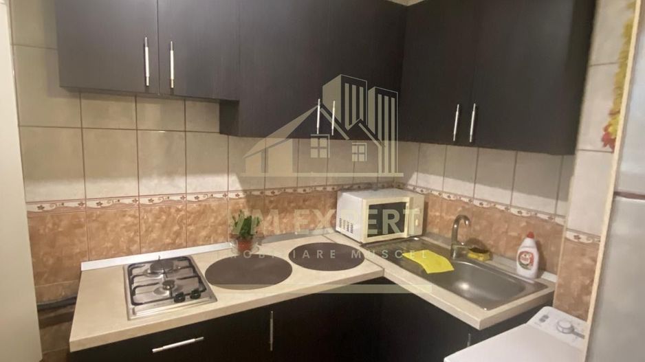 GARSONIERA ETAJ 8, BUCURESTI, STRADA TEIUL DOAMNEI - Poză 4