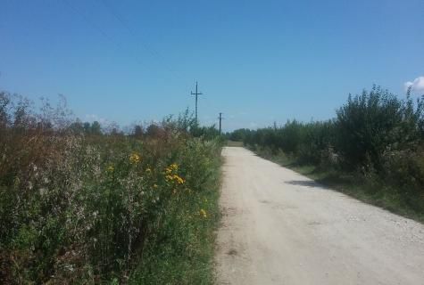 teren intravilan Corbii Mari judet Dambovita - Poză 4