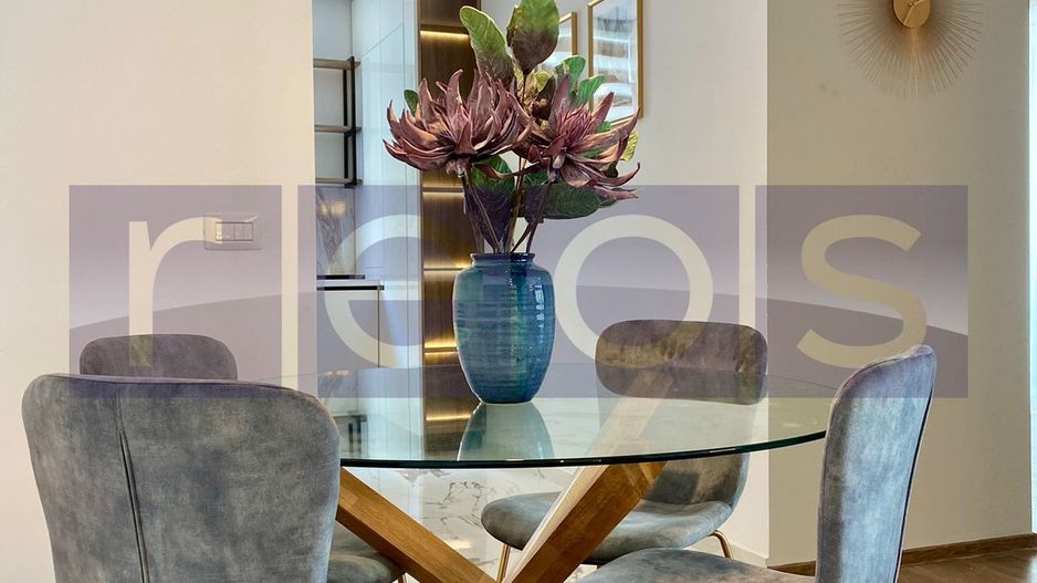 APARTAMENT 2 CAMERE | MOBILAT SI UTILAT LUX | LOC PARCARE | FLOREASCA - Poză 25