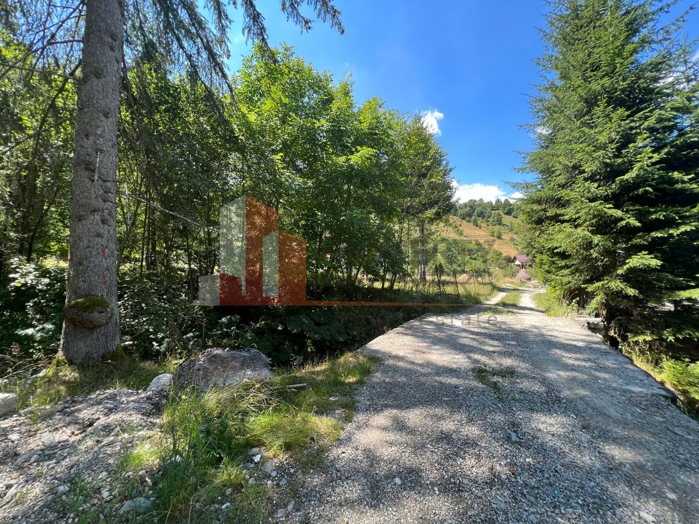 Teren Bran Poarta langa Padure - Poză 5