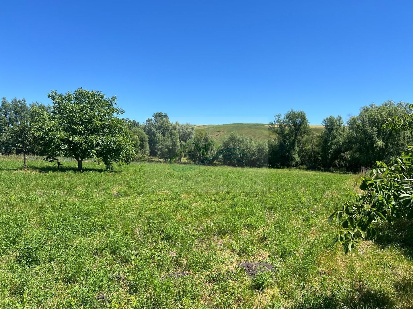 Casă de vânzare Zaharești/Suceava - Poză 13