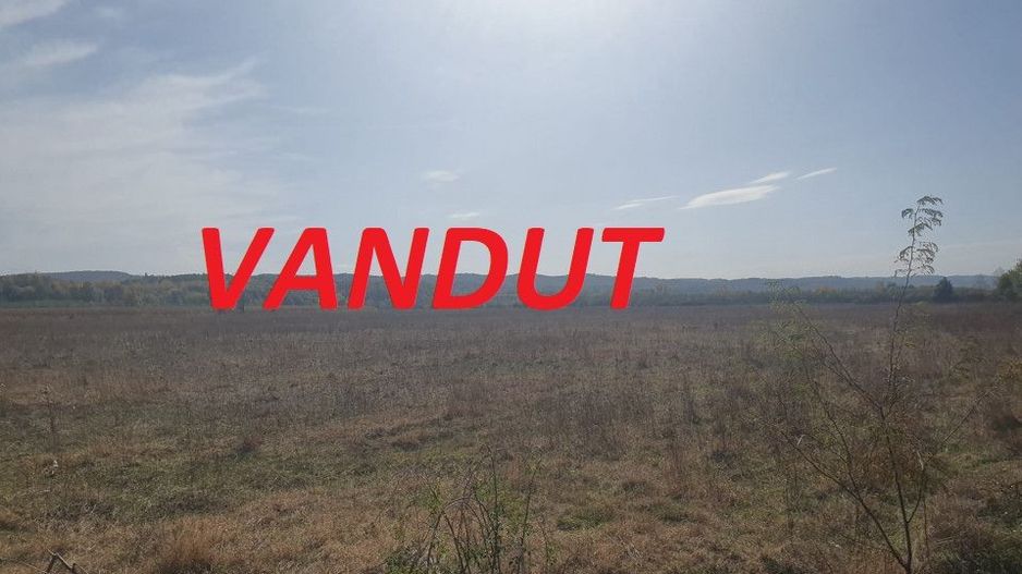 Vanzare teren arabil 22 Ha, plan, Arges, Moraresti - Poză 1