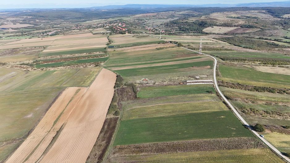 NECTORA IMOB-Teren Saldabagiu de Munte, aproape de Lac Paleu, 2880mp - Poză 10