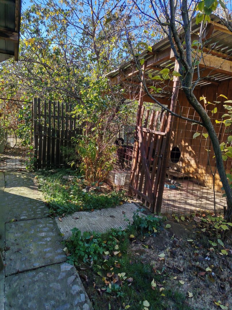 CASĂ 4 CAMERE\CARANSEBEȘ,JUD.CARAȘ-SEVERIN - Poză 22