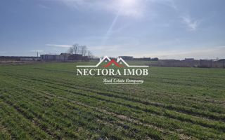 NECTORA IMOB-Teren Intravilan 537 mp, Zona Solay, 250 m de asfalt - Poză 3