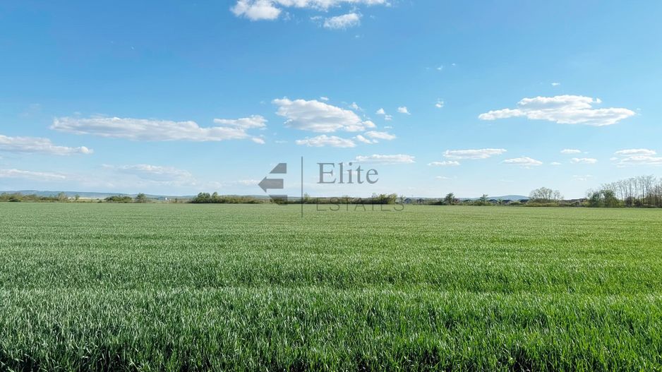Teren extravilan 6450 mp in Osorhei acces din DN1 - Poză 2