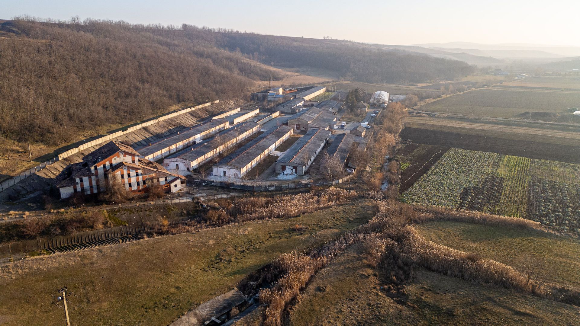 Fosta Ferma a Partidului de la Horgesti - de vanzare - Poză 12