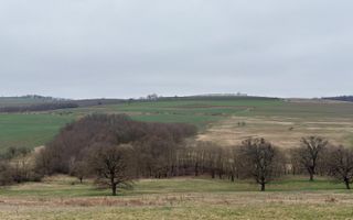 Teren agricol - Poză 4