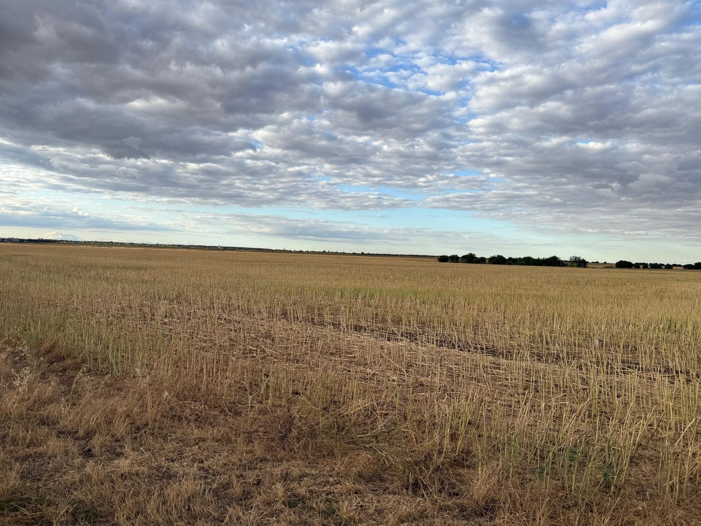 Teren intravilan Branesti - Poză 4