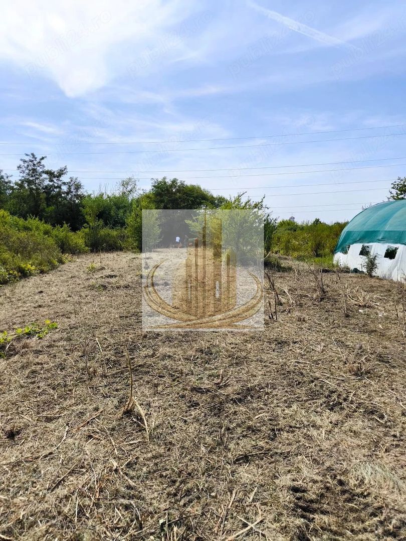 Teren 5.800 mp Timișoara Ghiroda - Poză 2