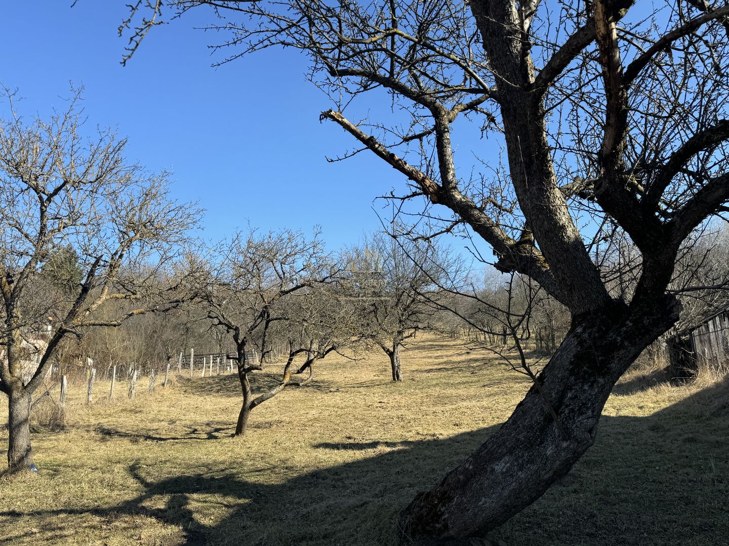 TEREN INTRAVILAN 3400 MP, VOINESTI, LERESTI - Poză 2