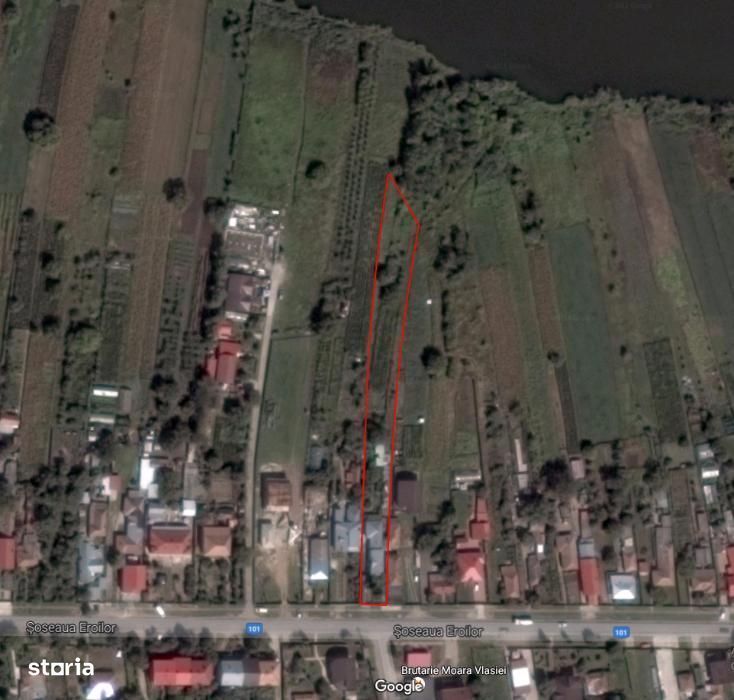 Proprietar - Casa Moara Vlasiei - Teren 1750mp - Poză 5