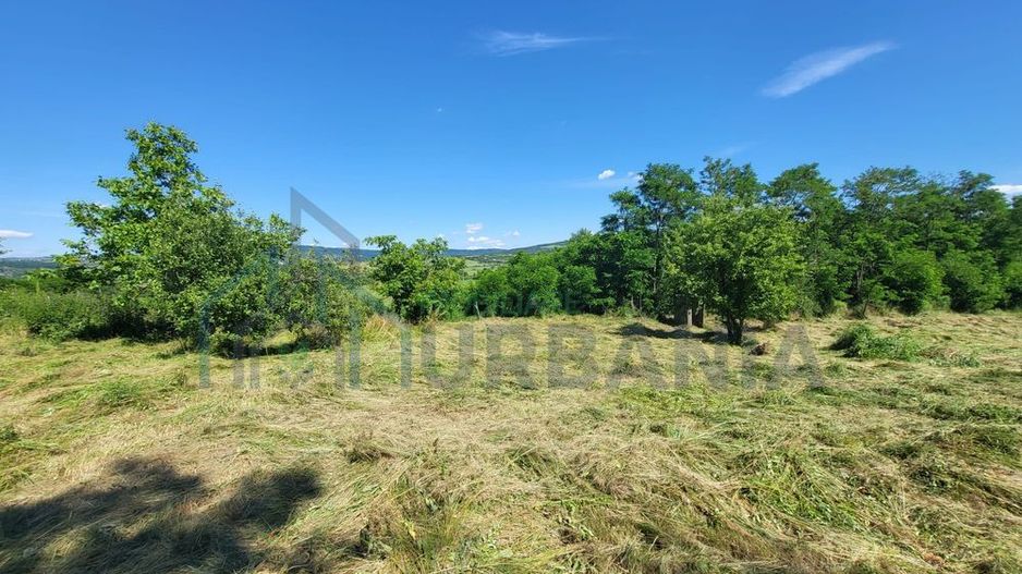 Teren de vânzare, Ciurea – 771 mp, intravilan, utilități - Poză 5