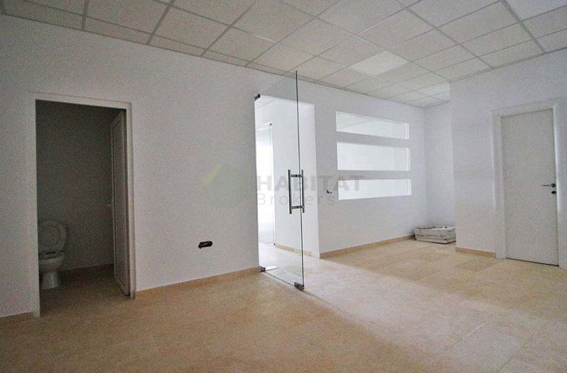 Cladire birouri inchiriata complet, zona Basarab - Titulescu - Poză 12