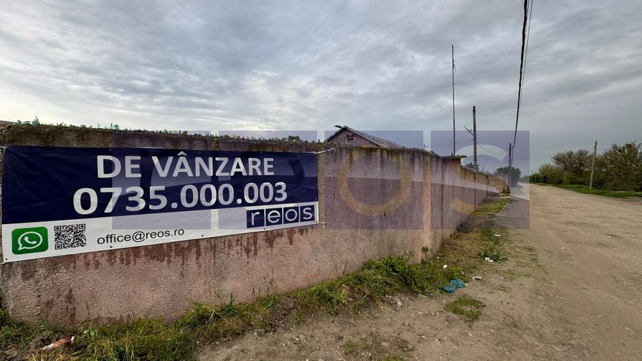VANZARE TEREN 16.000 MP | 2 LOTURI | CONSTRUCTII EXISTENTE | ROSIORI DE VEDE - Poză 8