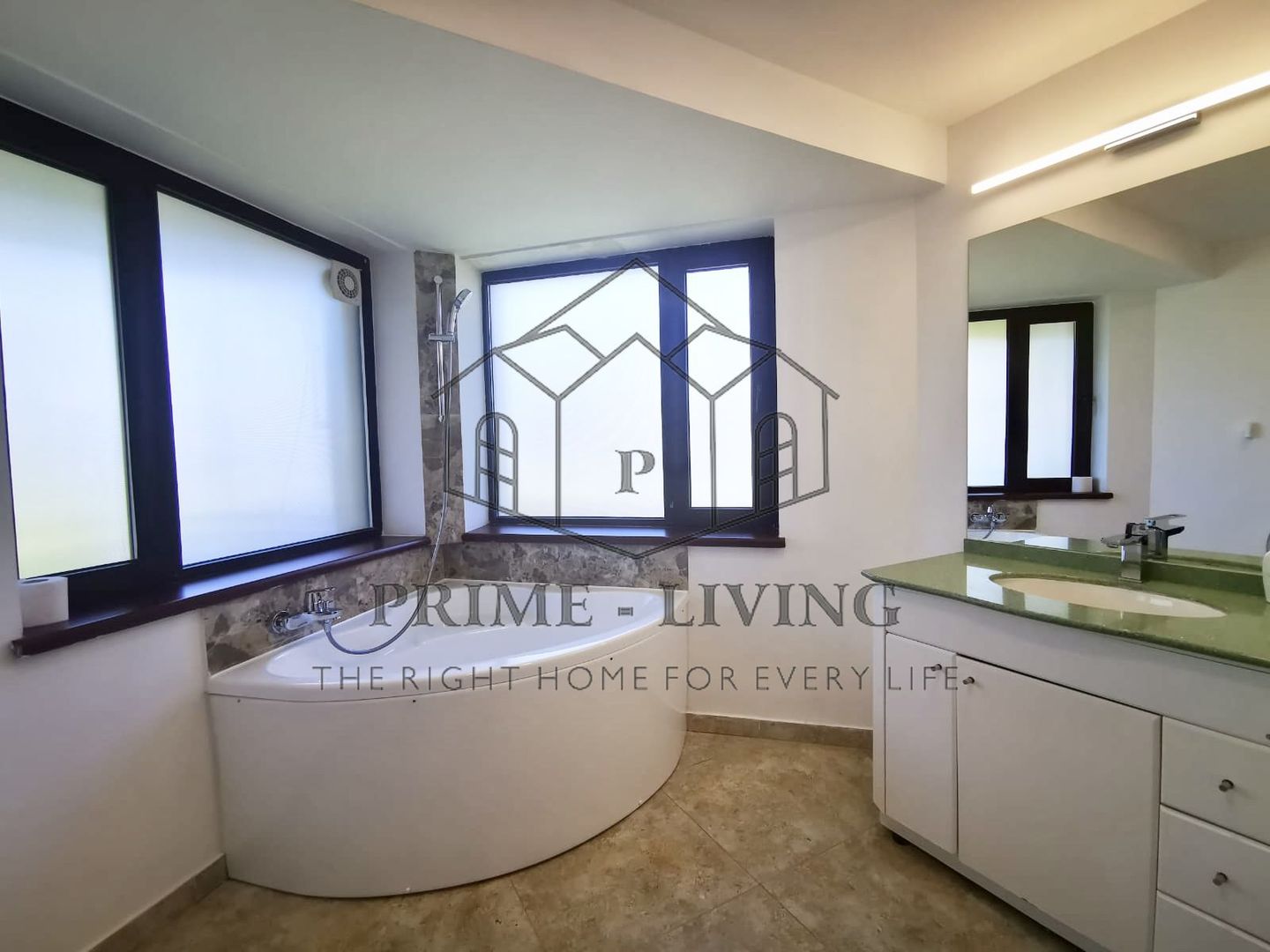 DE INCHIRIAT VILA CU 8 CAMERE, PISCINA SI GRADINA DE 1000MP IN PIPERA - Poză 10