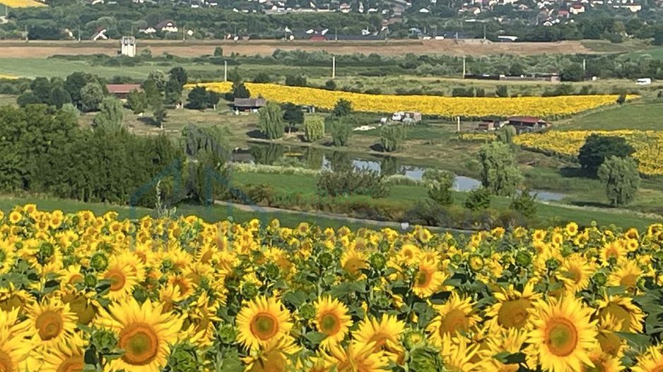 Teren intravilan ,Barnova ,Iași, 834 mp, priveliste panoramica deosebita,langa padure! - Poză 1