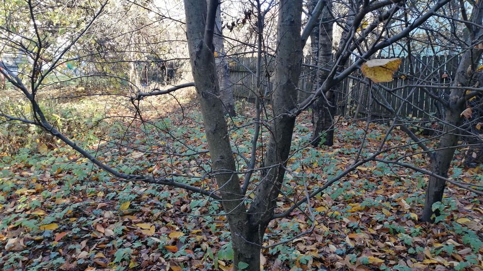 Vânzare casă in Brașov - Poză 8