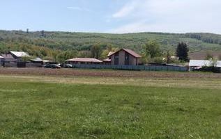 Teren extravilan 7.200 mp, Bordea - Grajduri, oportunitate investiție - Poză 8