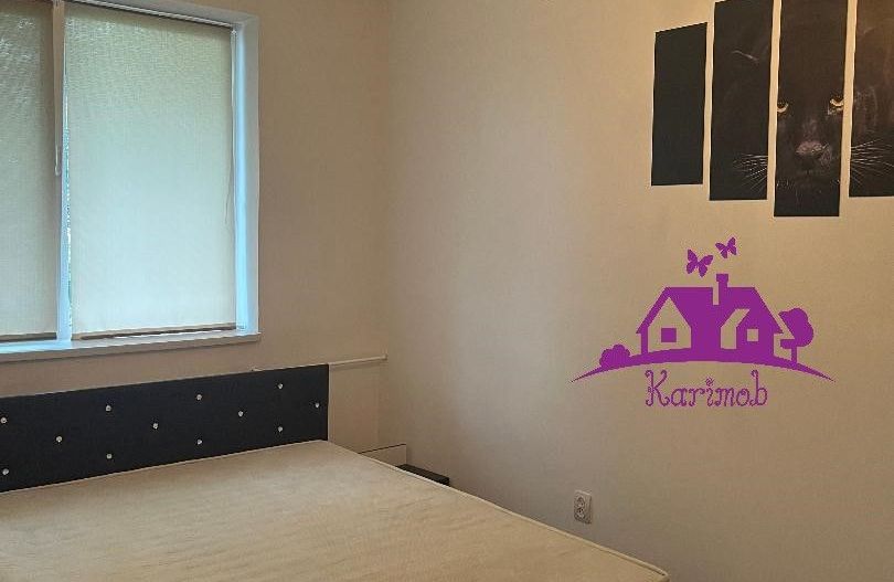 Apartament de inchiriat pe b-dul Dacia - Poză 8